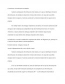 Crecimiento y diversificación en Martifer