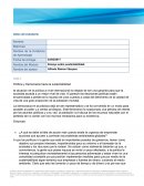 Ensayo sobre sustentabilidad