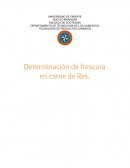 Determinación de frescura en carne de res