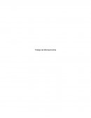 Trabajo microeconomia Mueblería Juanito