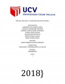 Promocion De La Salud; Teorista Nola Pender