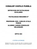 DETECCION DE PATOLOGIAS OCULARES