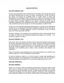 ANALISIS VERTICAL BALANCE GENERAL 2009