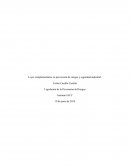 Leyes complementarias en prevención de riesgos y seguridad industrial.