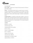 EL ATENTADO - ENSAYO