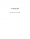 Planificación estratégica del marketing - Fundamentos de Marketing