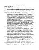 Ensayo Sociología organizaciónal