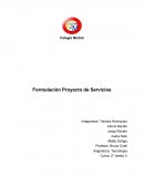 Formulación Proyecto de Servicios