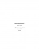 Control 8 programacion de compitadores I