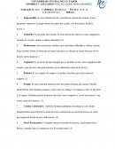 Terminologia definitiva