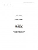 Evaluación Trabajo Individual