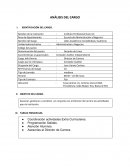 ANÁLISIS DEL CARGO