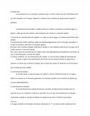 La amortización ENSAYO