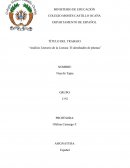 Análisis Literario de la Lectura: El almohadón de plumas