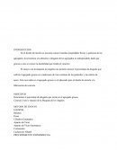 Determinar el porcentaje de desgaste que existe en el agregado grueso.