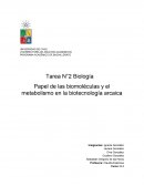 Tarea N°2 Biología Papel de las biomoléculas y el metabolismo en la biotecnología arcaica