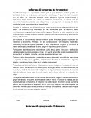 Informe de progreso 1º Trimestre