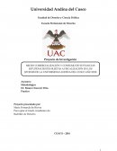 Mrico comercializacion en la UAC