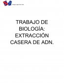 TRABAJO DE BIOLOGÍA: EXTRACCIÓN CASERA DE ADN.
