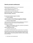 Guia de Derecho procesal constitucional