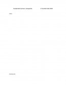 Trabajo de campo. Análisis