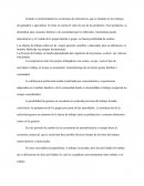 Economias de subsistencia