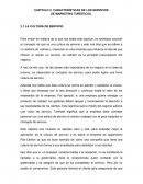 CAPITULO 2. CARACTERÍSTICAS DE LOS SERVICIOS DE MARKETING TURÍSTICOS