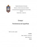 Ensayo fenomenos de superficie