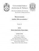 Análisis Microeconómico