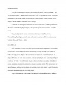 El cuerpo y sus imagenes- trastorno dismorfico