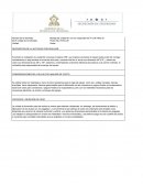 DESCRIPCION DE LA ACTIVIDAD POR REALIZAR