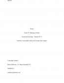 Ensayo sobre modelos de entrevista