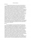 En busca de Spinoza