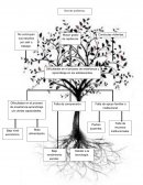 Dificultades en el proceso de enseñanza y aprendizaje en los adolescentes.
