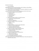 Guia ESTUDIO DE FACTIBILIDAD