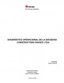 DIAGNÓSTICO OPERACIONAL DE LA SOCIEDAD CONSTRUCTORA RAÍCES LTDA.