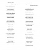 ¿Dónde está la paz?