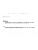 Planificacion primer ciclo - eje las sociedades y los espacios geograficos