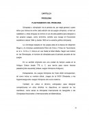 Tesis Atletlas Venezolanos