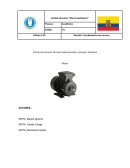 Práctica de Ciencias Técnicas Experimentales y Ensayos, Semestre