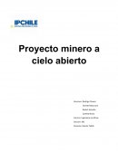 EQUIPO DE CARGUIO Y TRANSPORTE MINERO A UTILIZAR