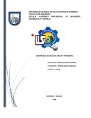 Comandos de redes windows y linux