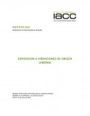 EXPOSICION A VIBRACIONES DE ORIGEN LABORAL