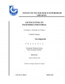 Accidentes e incidentes de trabajo. Tortillería Santoyo