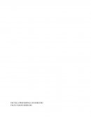 INCULTURA AMBIENTAL EN LA PROVINCIA DE CHINCHA