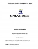 Sistemas de informacion en negocios