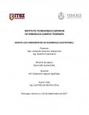ENSAYO LOS FUNDAMENTOS DE DESARROLLO SUSTENTABLE.