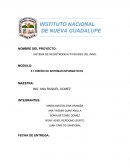 SISTEMA DE REGISTRODEACTIVIDADES DEL INNG.