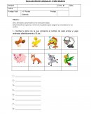 EVALUACIÓN DE LENGUAJE 2⁰AÑO BÁSICO