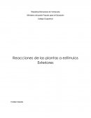 Reacciones de las plantas a estímulos Exteriores